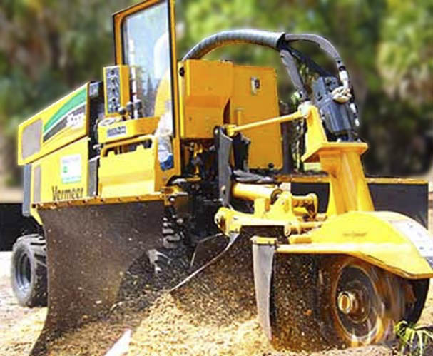 Stump Removal | Eager Beaver Tree Removal