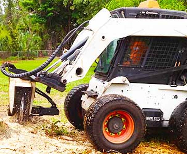 Stump Removal | Eager Beaver Tree Removal