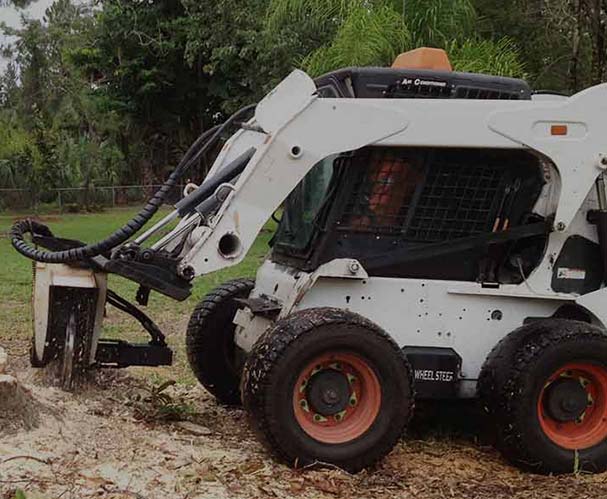 Stump Remove